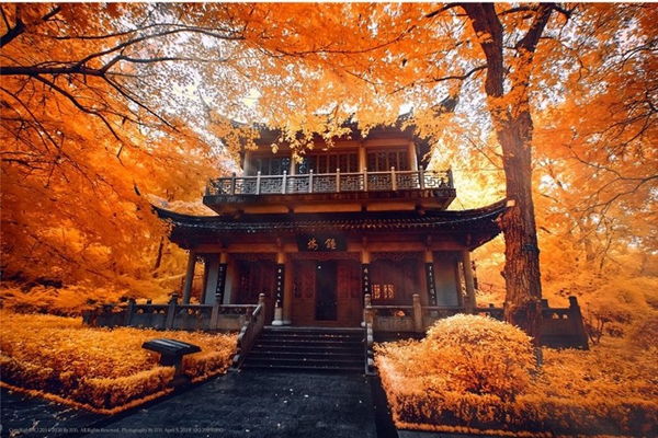 南京十大名山排行榜，南京最有名的山峰排行