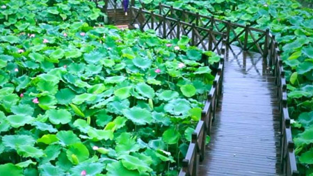 南充南部縣十大最好玩的地方，南部縣旅游景點(diǎn)有哪些