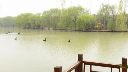阜陽(yáng)十大好玩的地方，阜陽(yáng)有什么好玩的地方景點(diǎn)
